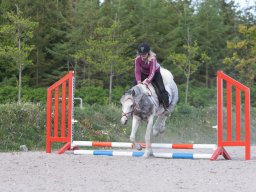 IMG_0599_web
